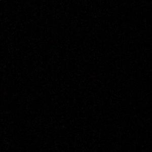 Meet your Posher, Roy